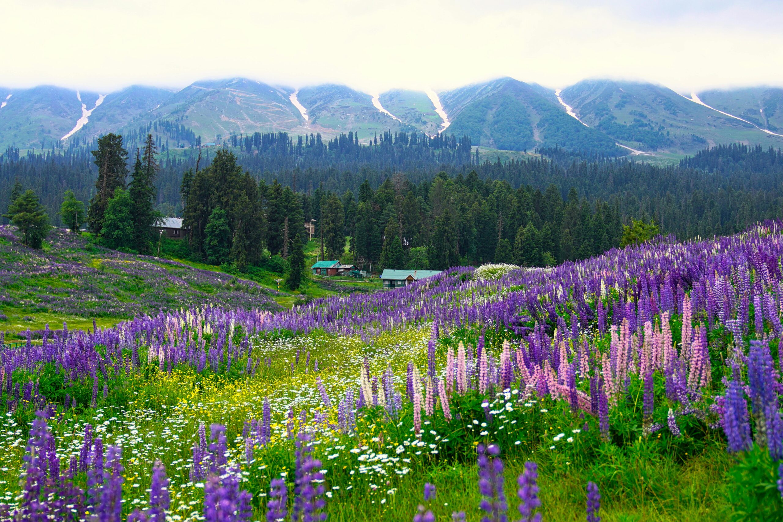 Gulmarg