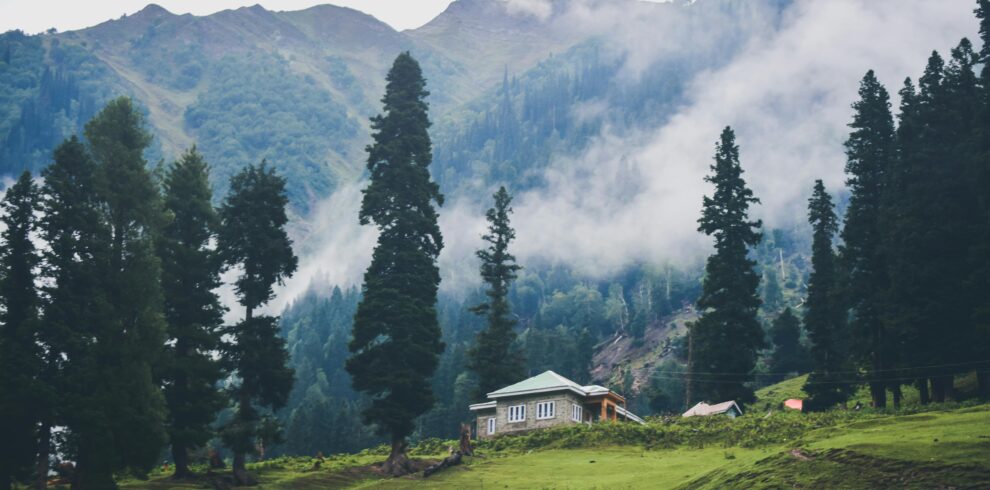 A serene foggy landscape showcasing a house surrounded by lush trees and mountains in Sonamarg.